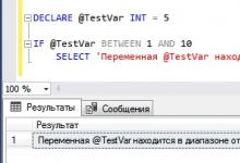 Операторы IN и BETWEEN в SQL